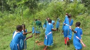 Public Awareness and Education